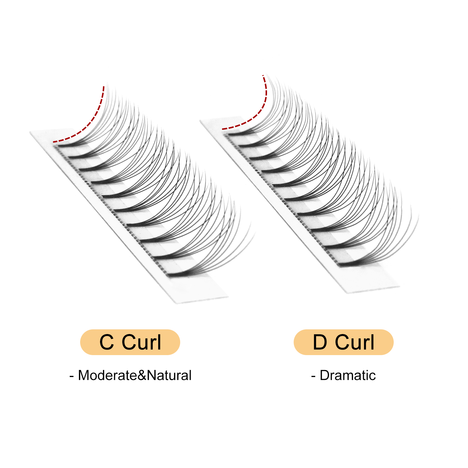 Quewel Premade Fans Lashes 8D/ - Individual Lash Tray 评论和价格