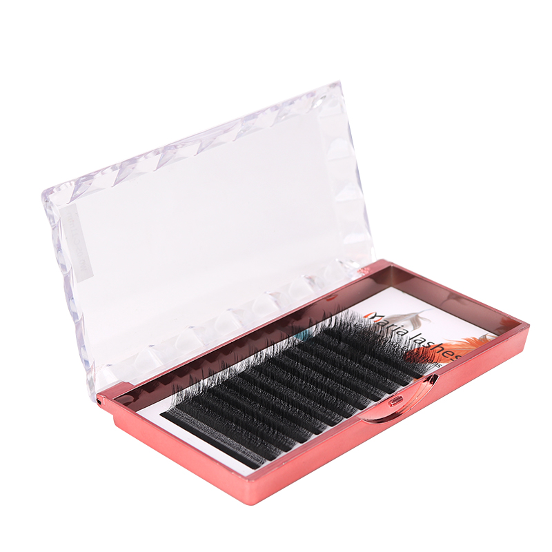 MARIA 10 Cases 4D W Shaped Bea - Eyelash Extension Logo 评论和价格